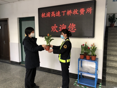 宝典全年资料大全
