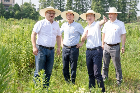 宝典全年资料大全