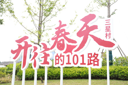 宝典全年资料大全