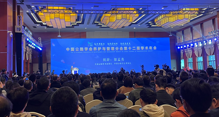 宝典全年资料大全