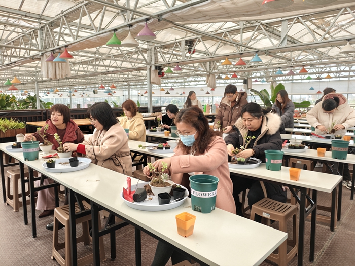 宝典全年资料大全